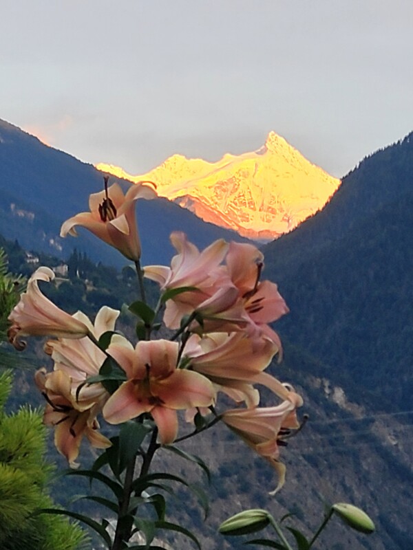 Chambres_Hote_Haut_SoleilImages2026