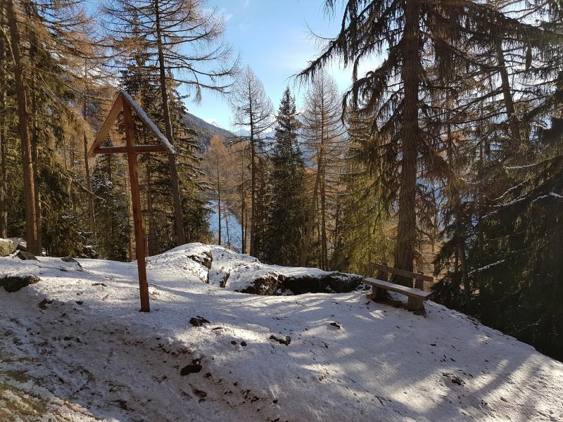 Pierre des Sauvages / Forêt - hiver