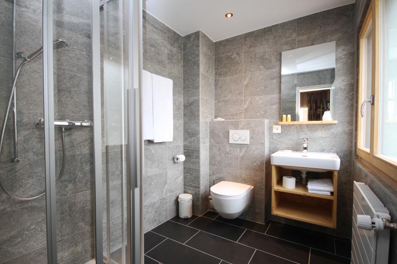 Hotel la Pointe de Zinal in Zinal _ Bathroom