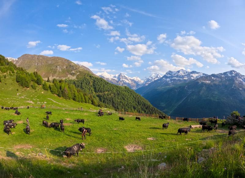 Inalpe à Nava