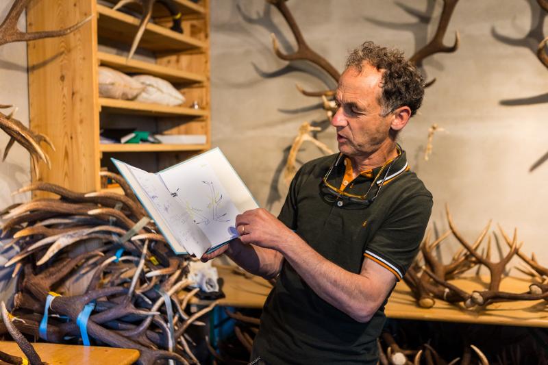 Secrets du cerf