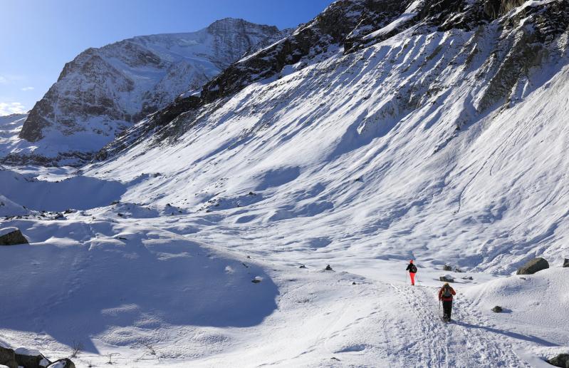 Les incontournables - hiver