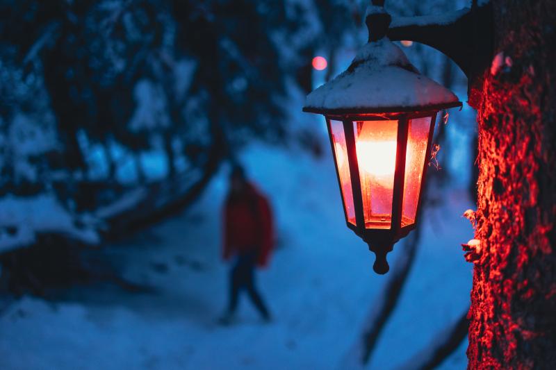 La nuit des mélèzes à Zinal