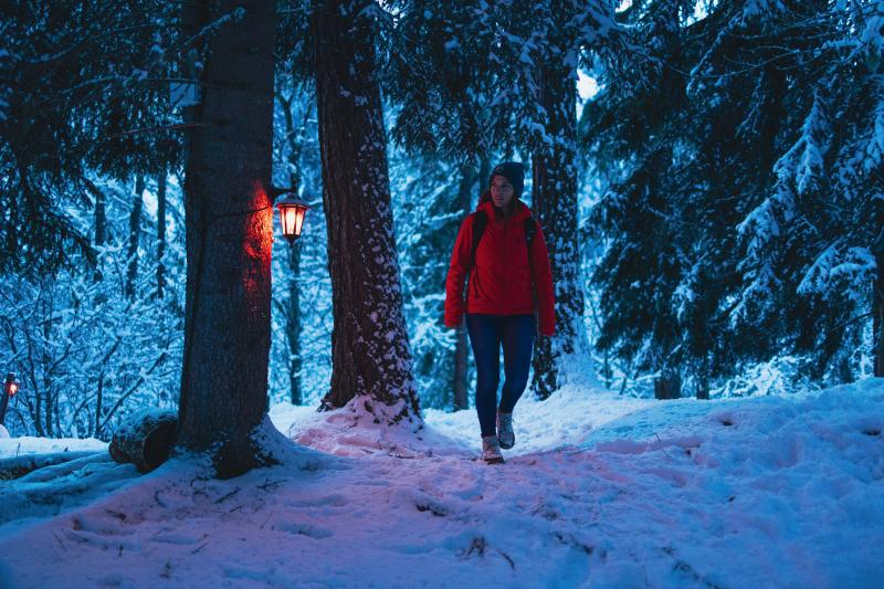 Chemin des mélèzes