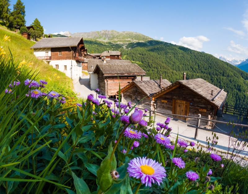 Village of Chandolin