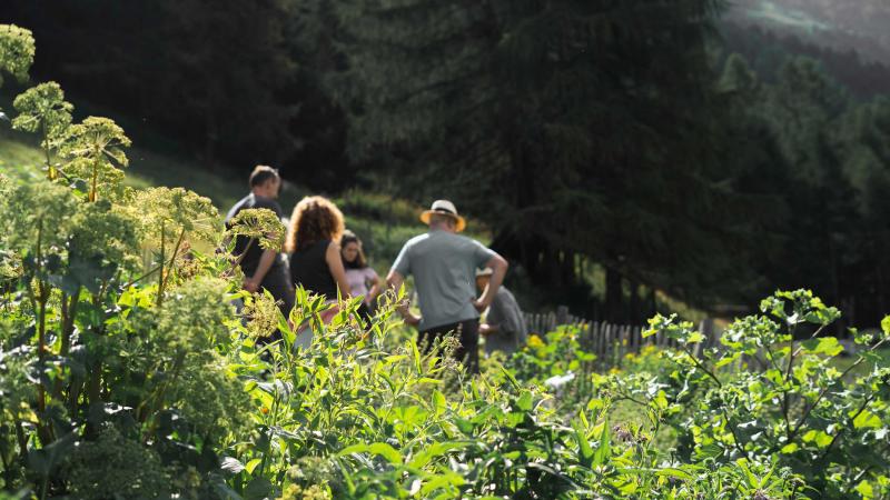 Alpage de Cottier: Visite Jardin Matin