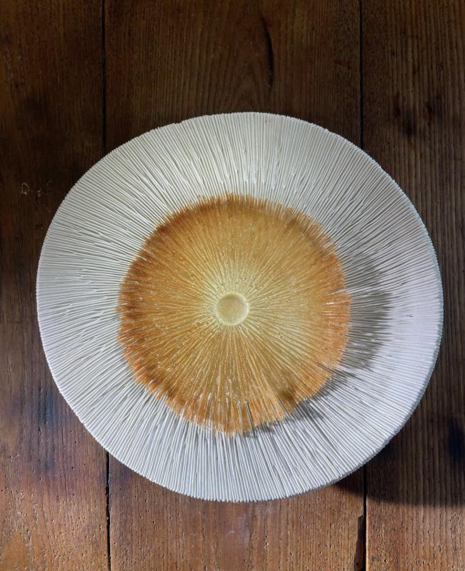 Plat - Emmanuel Renaut 3