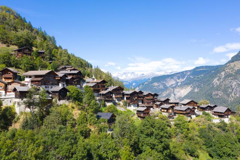 Pinsec village