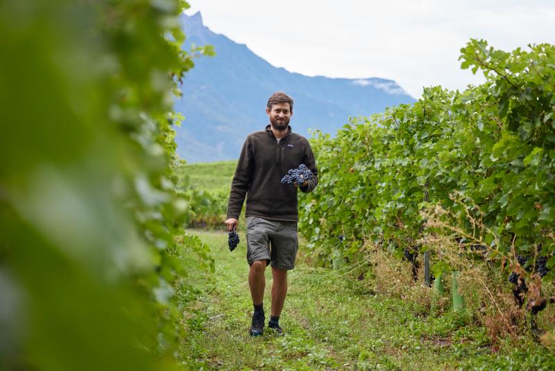 Epicurialpes - vins maye