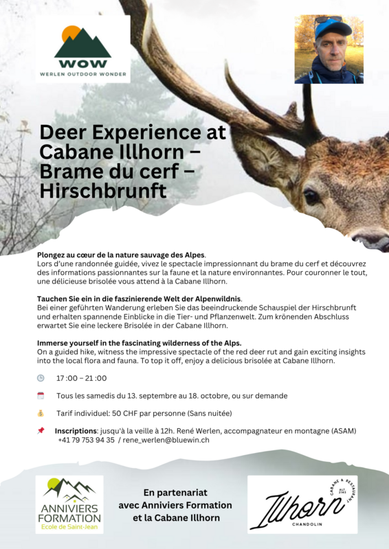 Brame du cerf - cabane illhorn