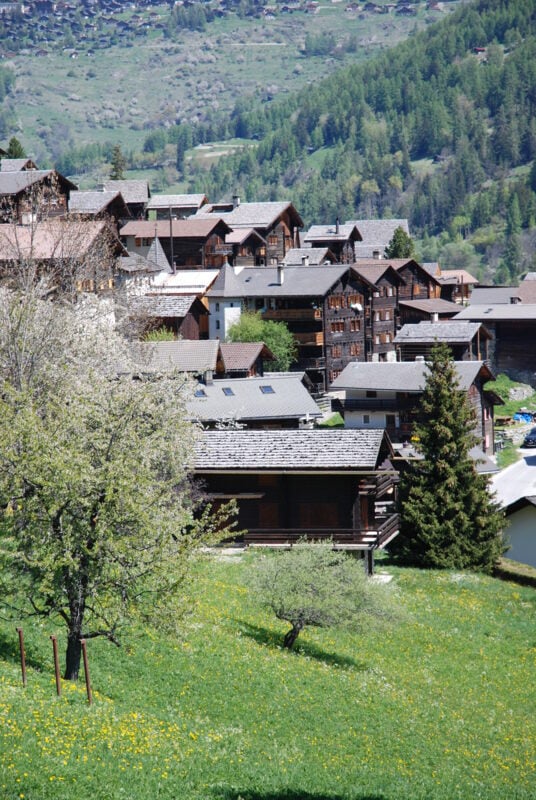 Portrait Dominique Epiney