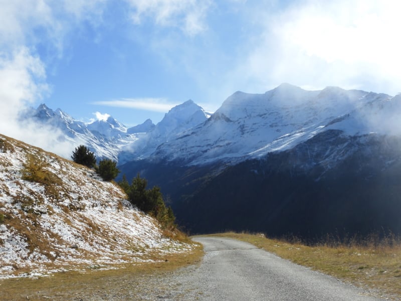 Portrait Dominique Epiney