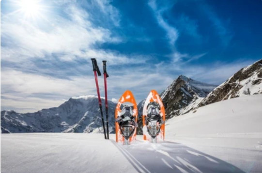 La balade du petit loup