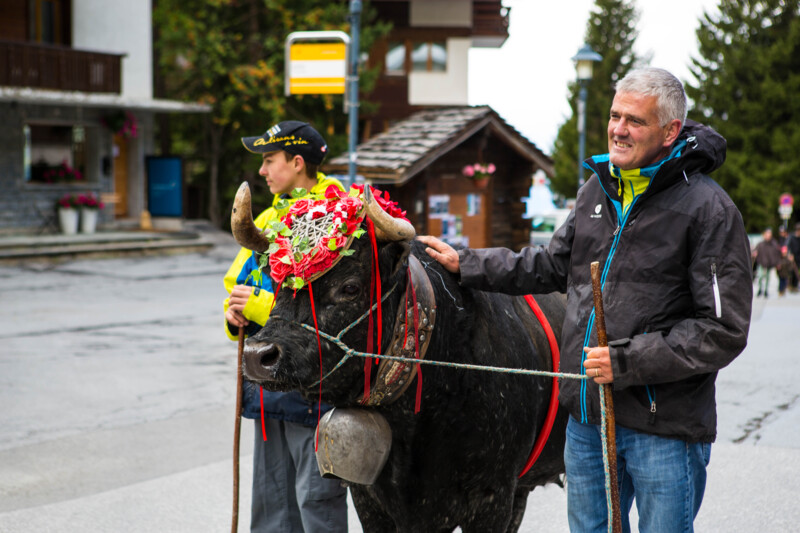 D&eacute;salpe - Chandolin