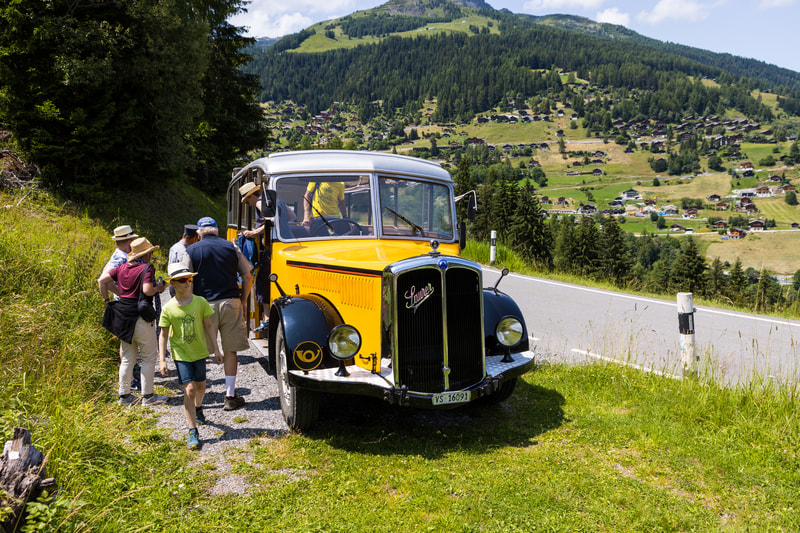 Car Saurer