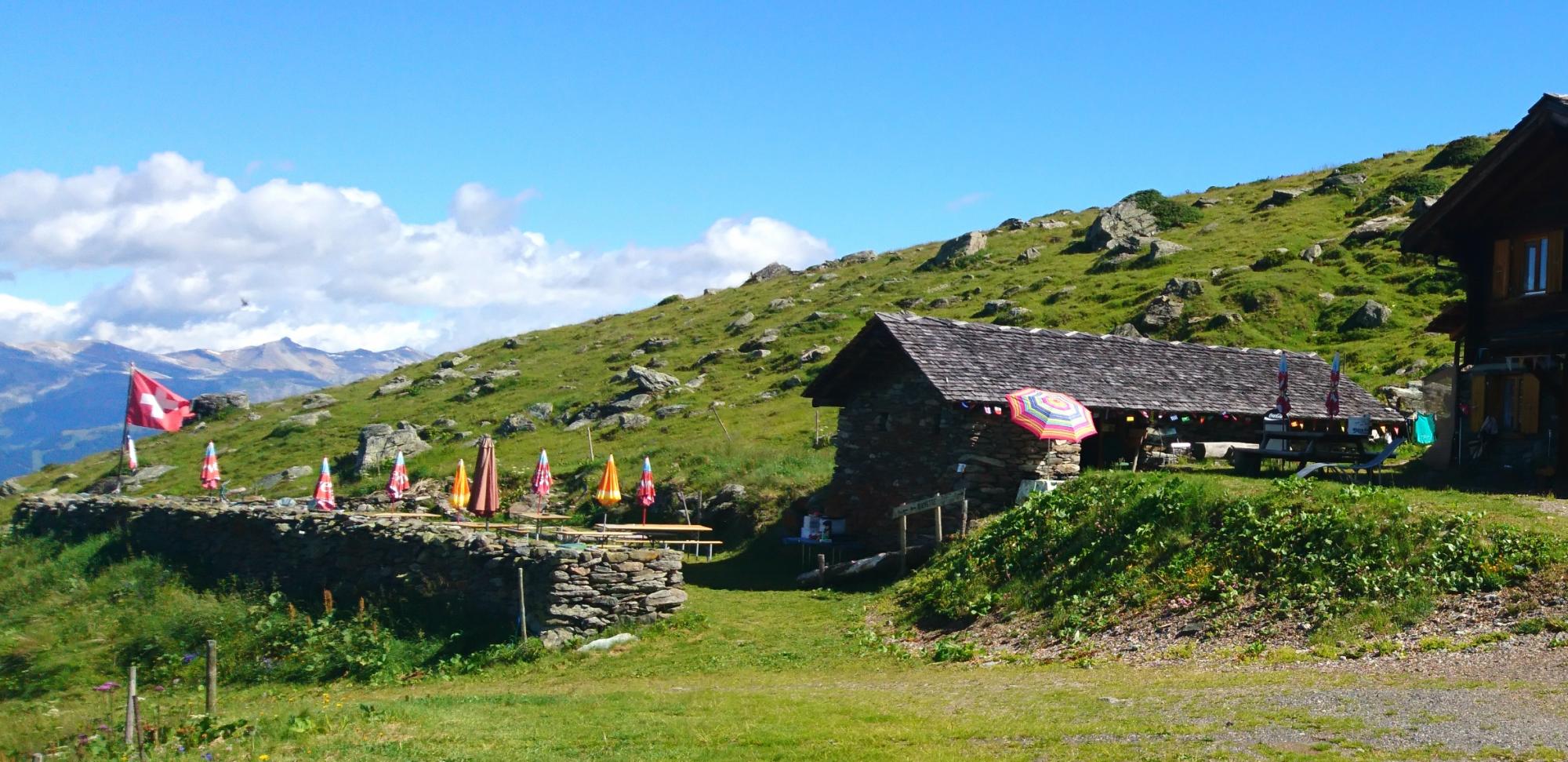 Buvette_Tsartsey_été