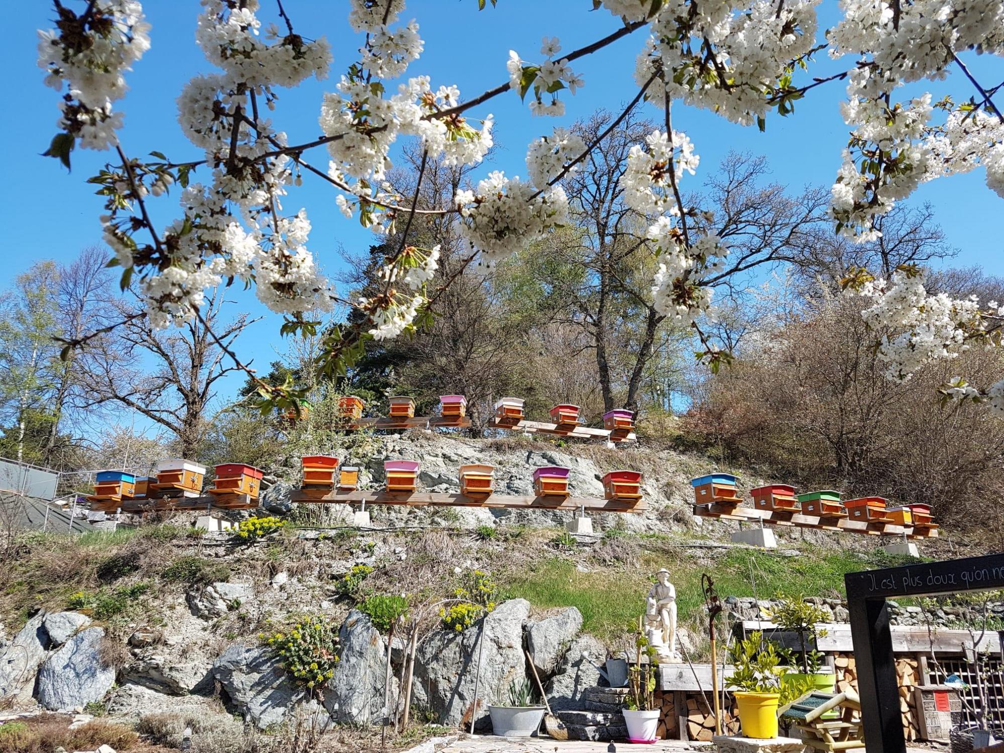 Commerce_Apiflowers_ruches