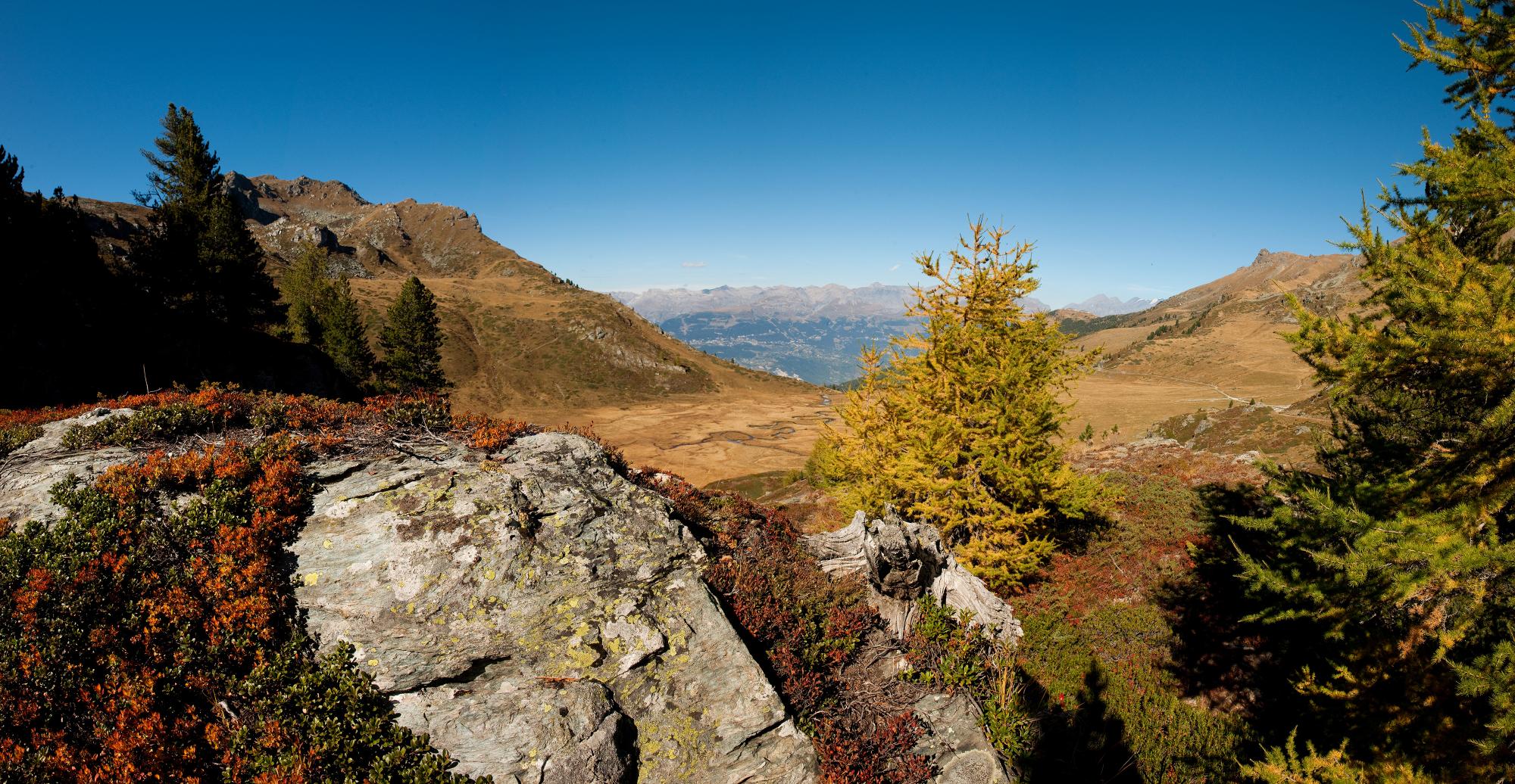Réserve_VallonDeRéchy_automne