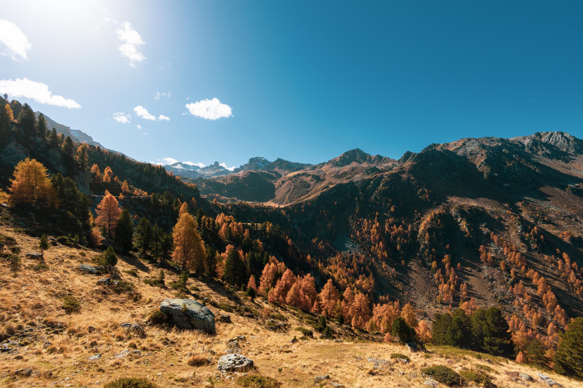 Réserve_VallonDeRéchy_automne