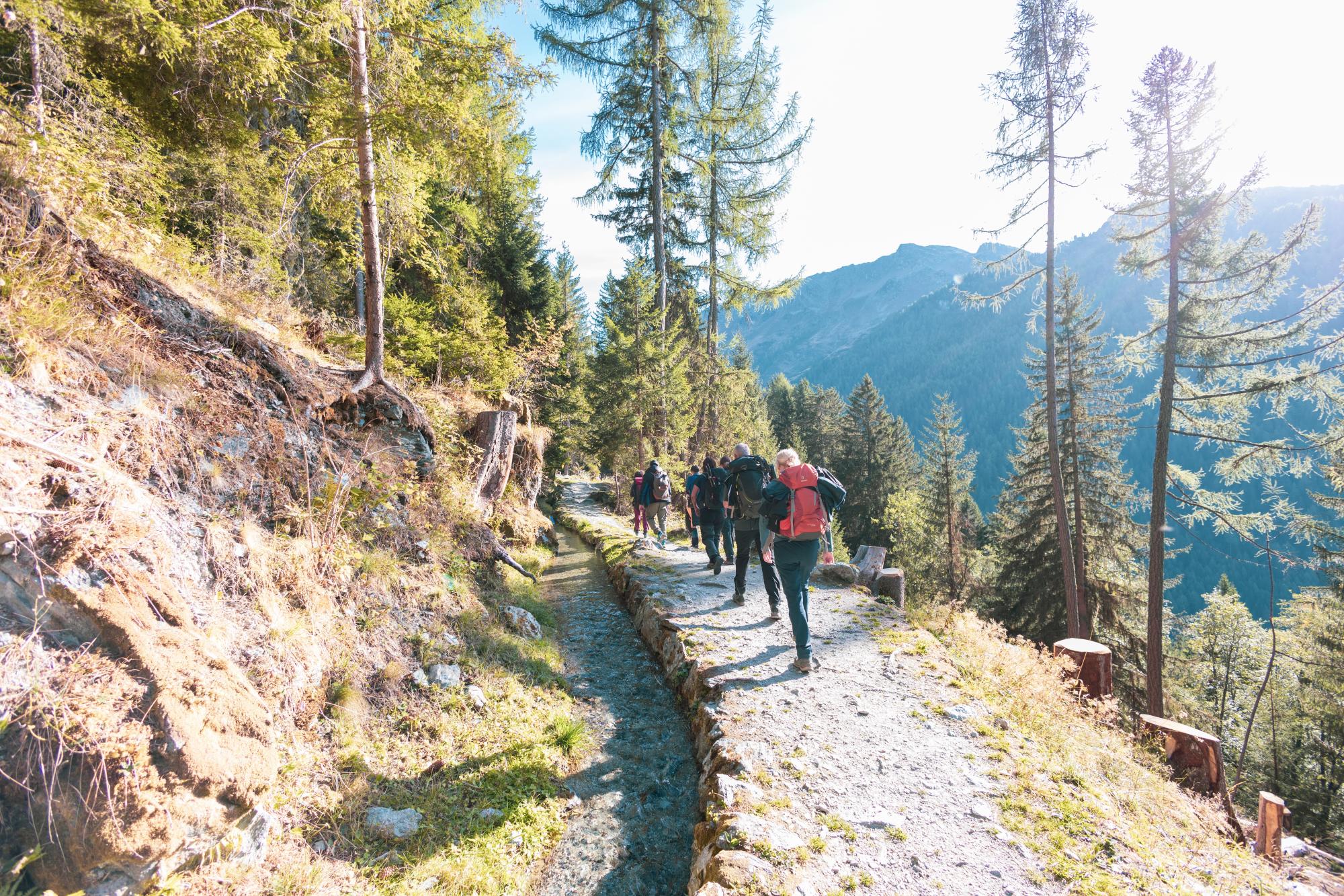 Evenement_BrameDuCerf