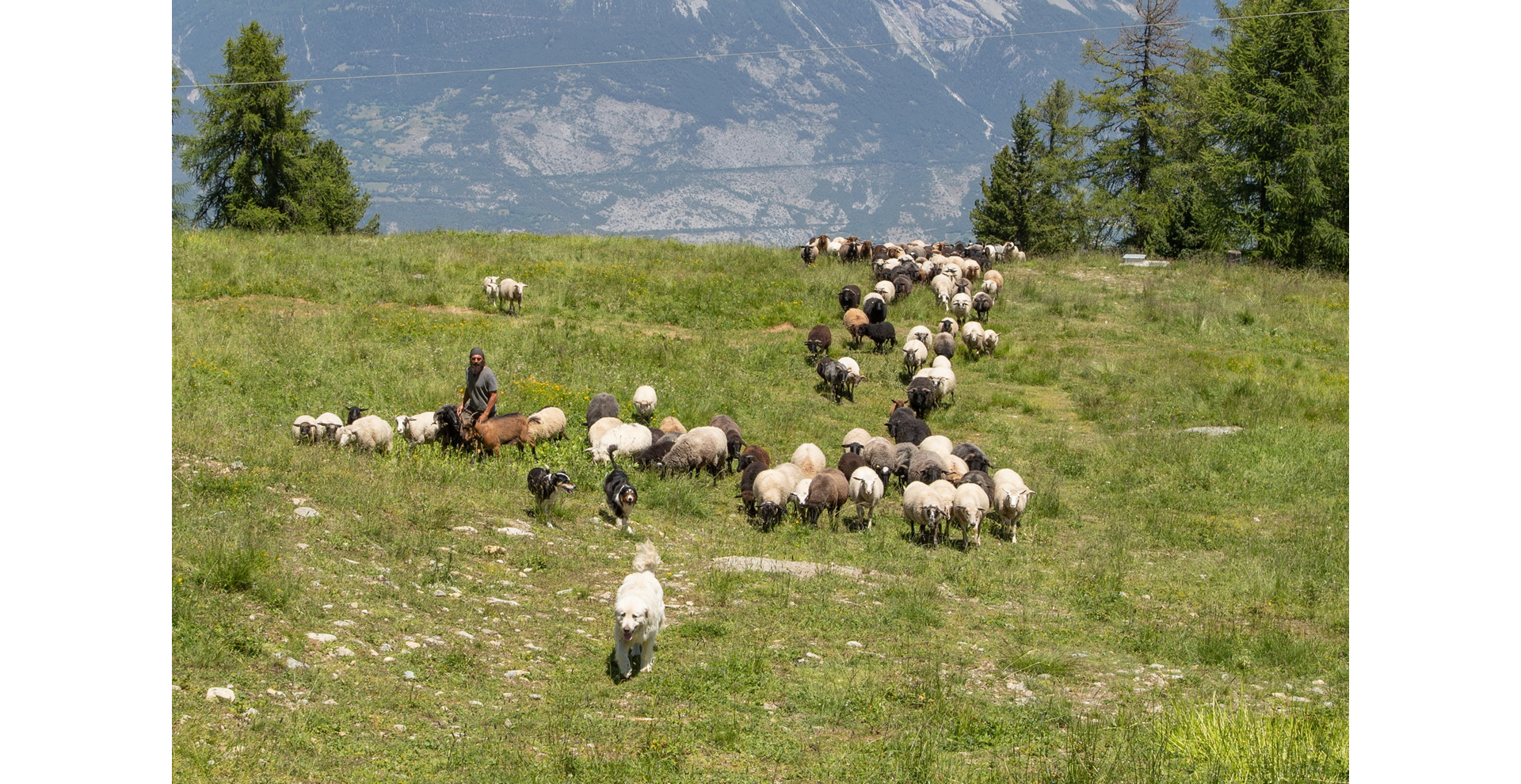 Famille Jeannerat_Par Luciano Miglionico