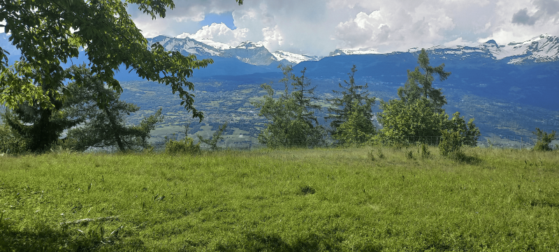 Événement_Eveil en nature