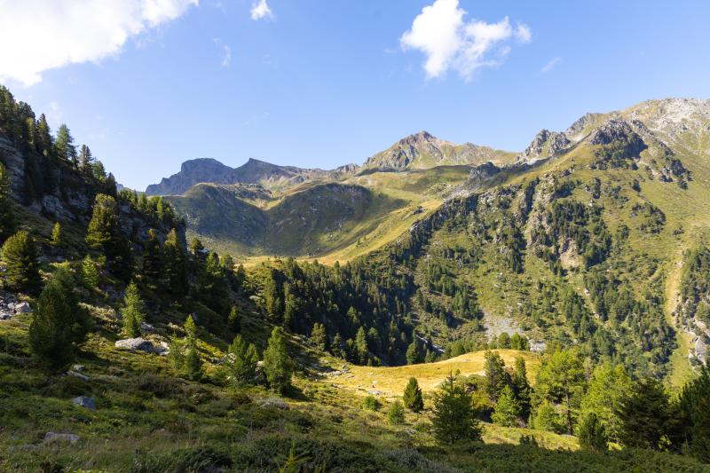 Vallon de Réchy_été 2024
