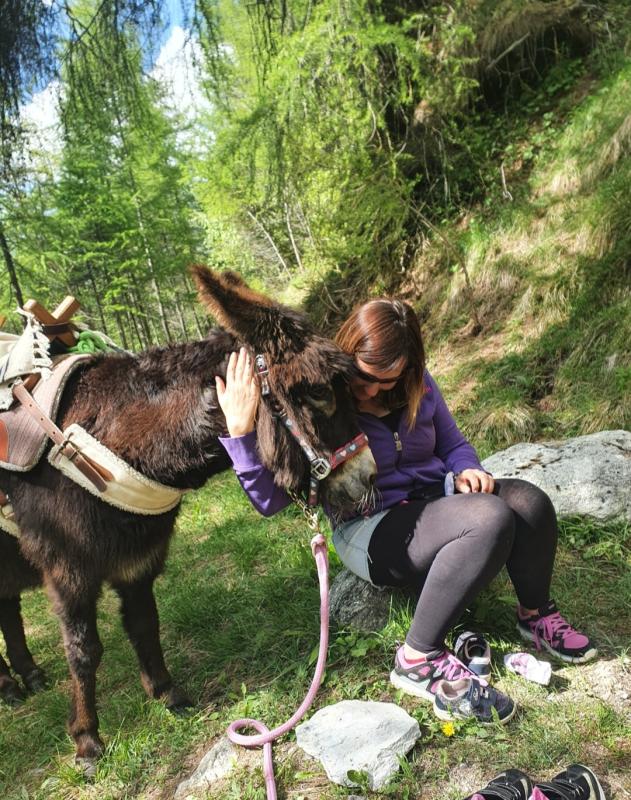 Week-end de rencontre avec soi et l’animal.