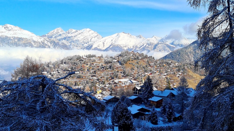 Hébergement_Chalet "Les anémones"_Hiver
