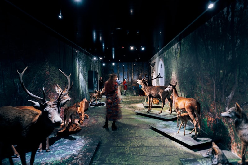Mus&eacute;e de la nature du Valais