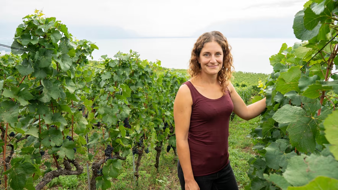 Delphine Morel: Chasselas und noch viel mehr! Image