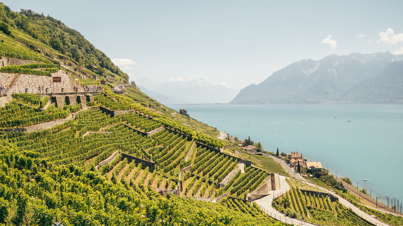 Lavaux