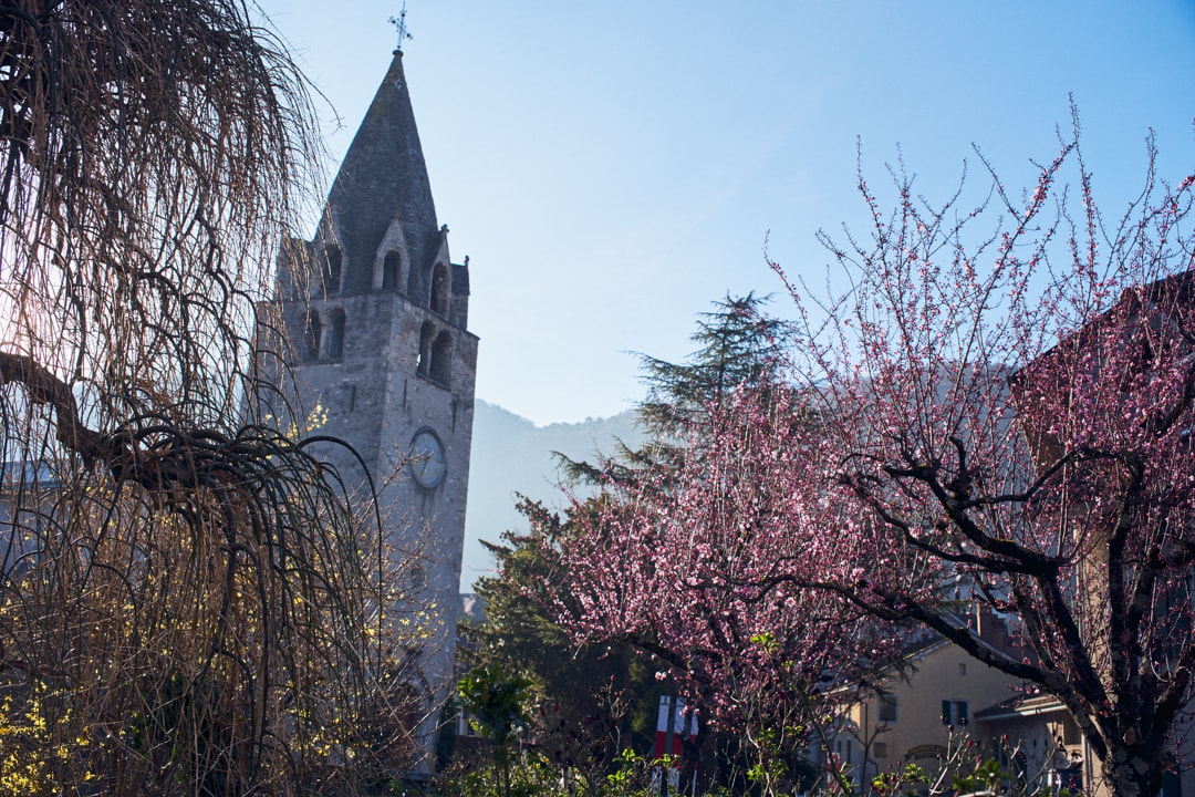 Cloister district