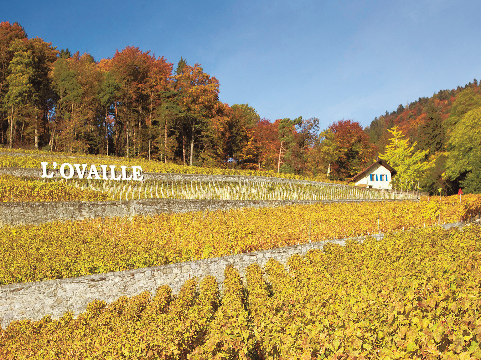 Domaine de l'Ovaille