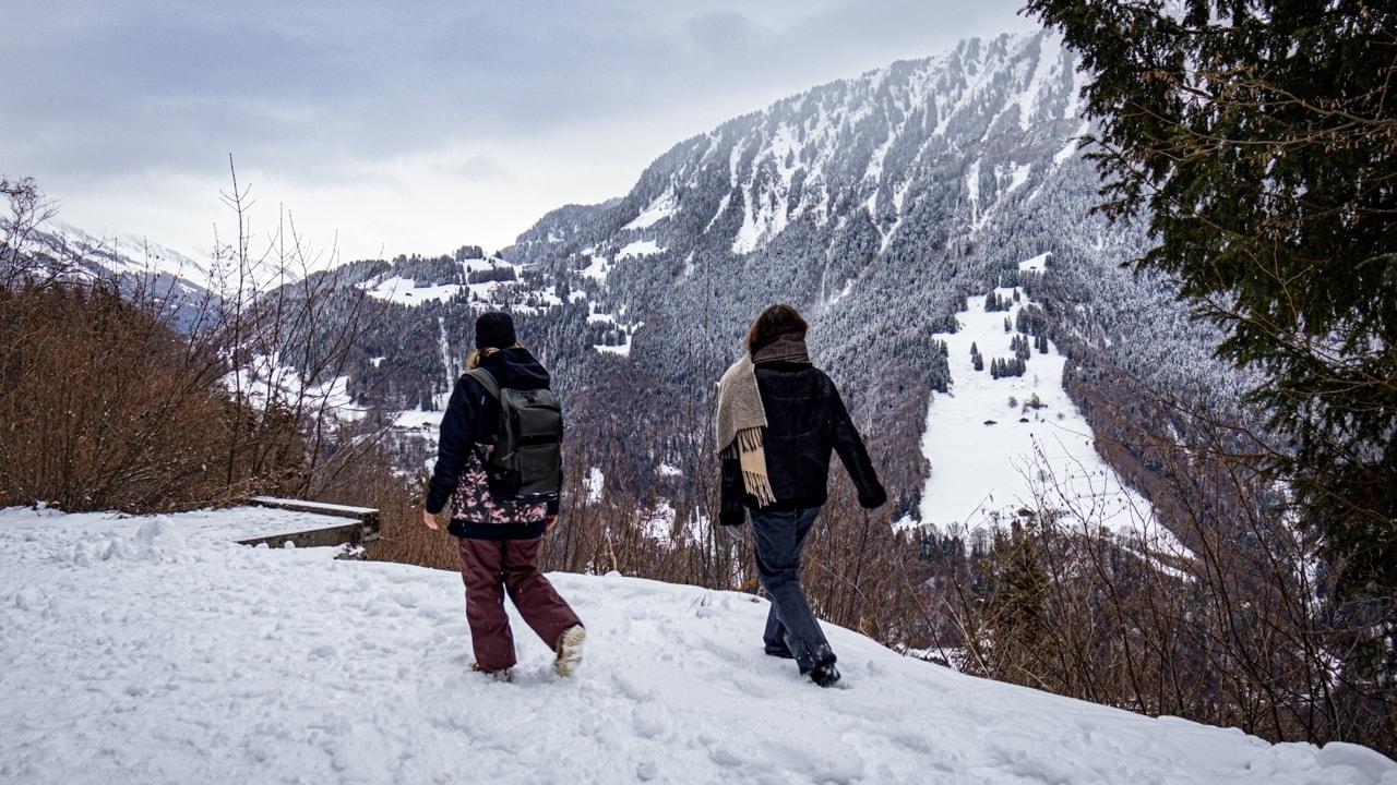 Balade hivernale du Renardeau