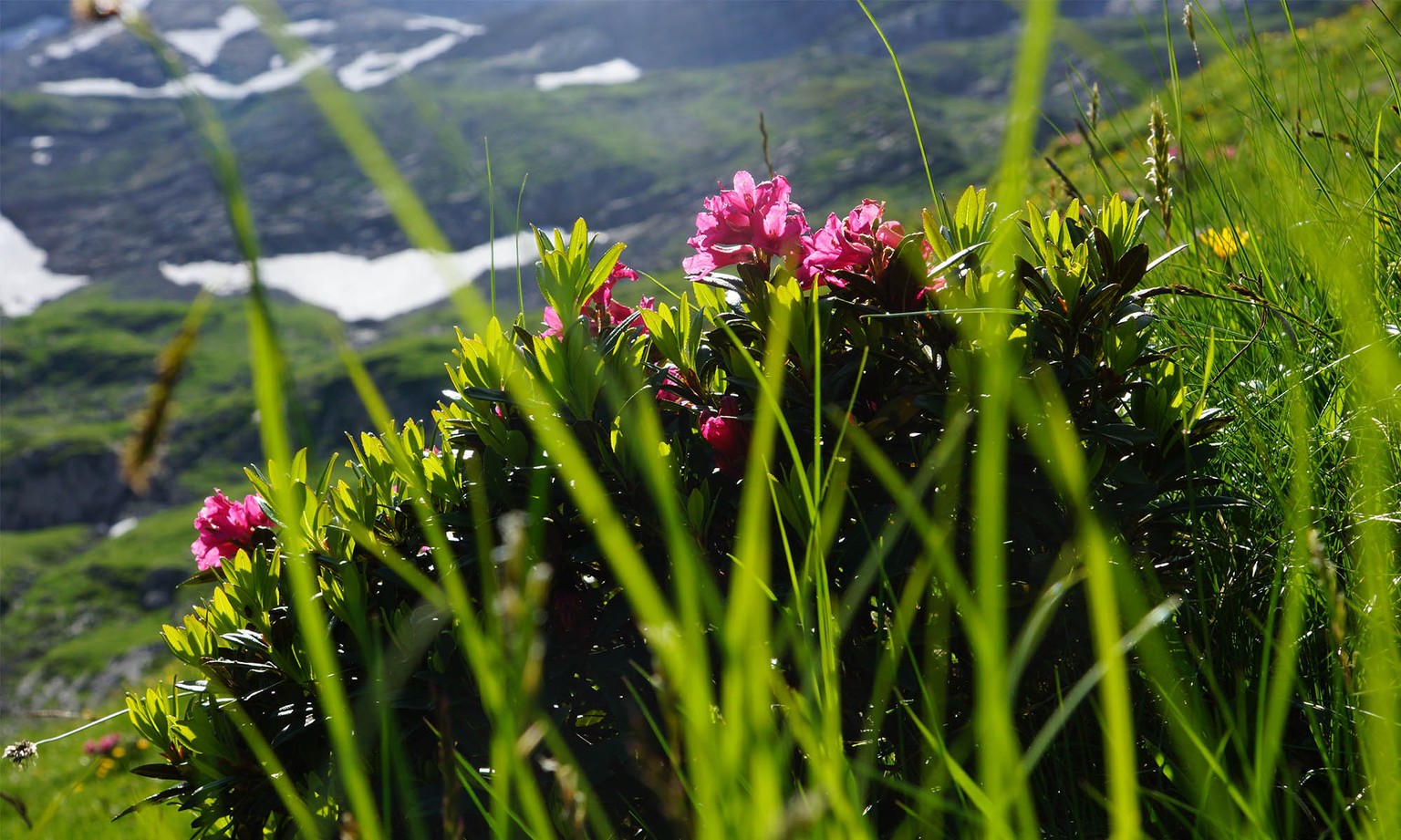 Les Diablerets - Isenau via the ridges