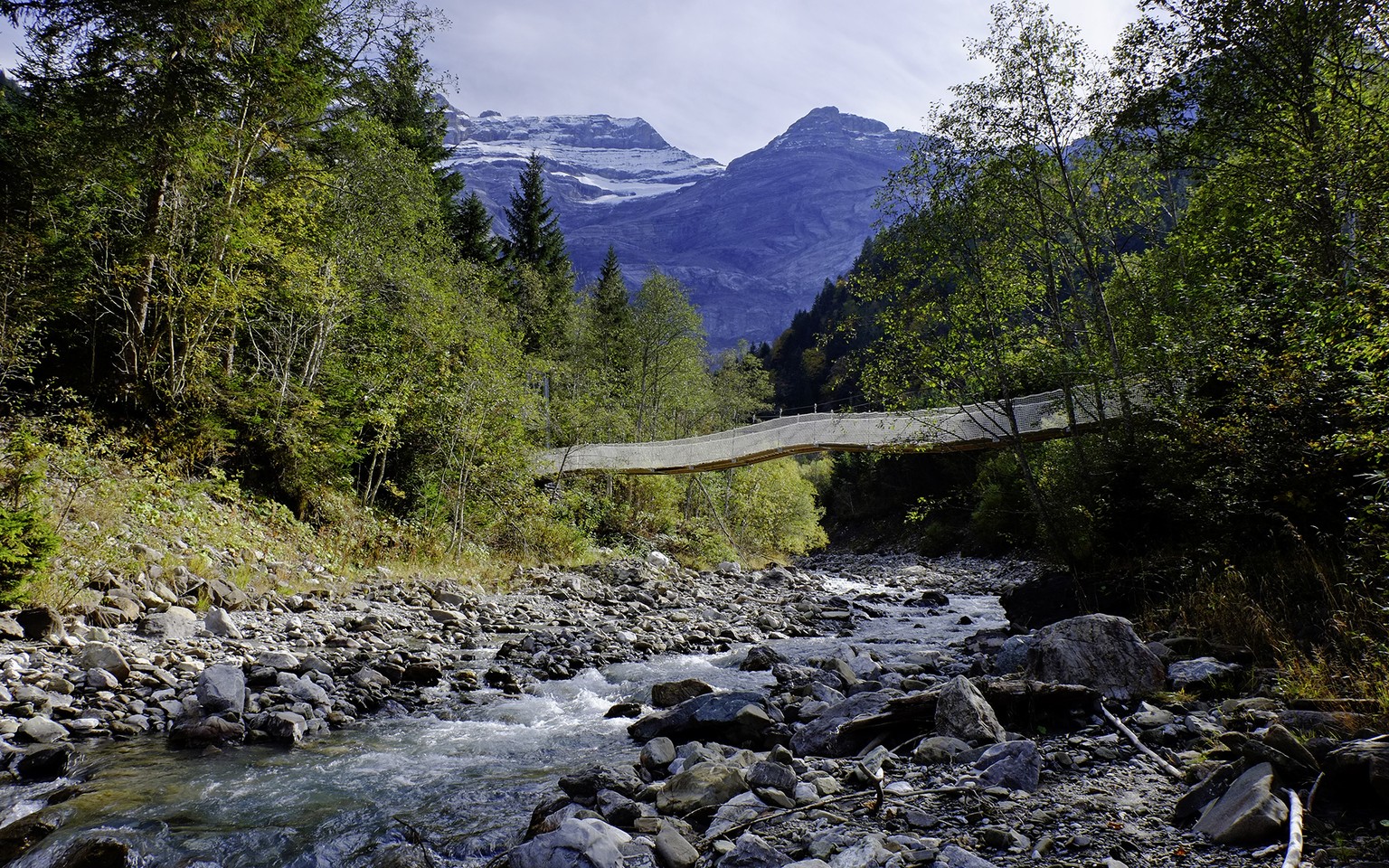 The suspension bridge