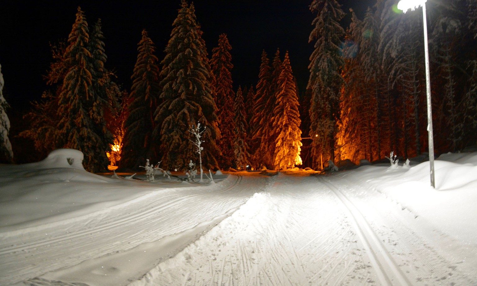 Langlaufpiste in Les Plans-sur-Bex