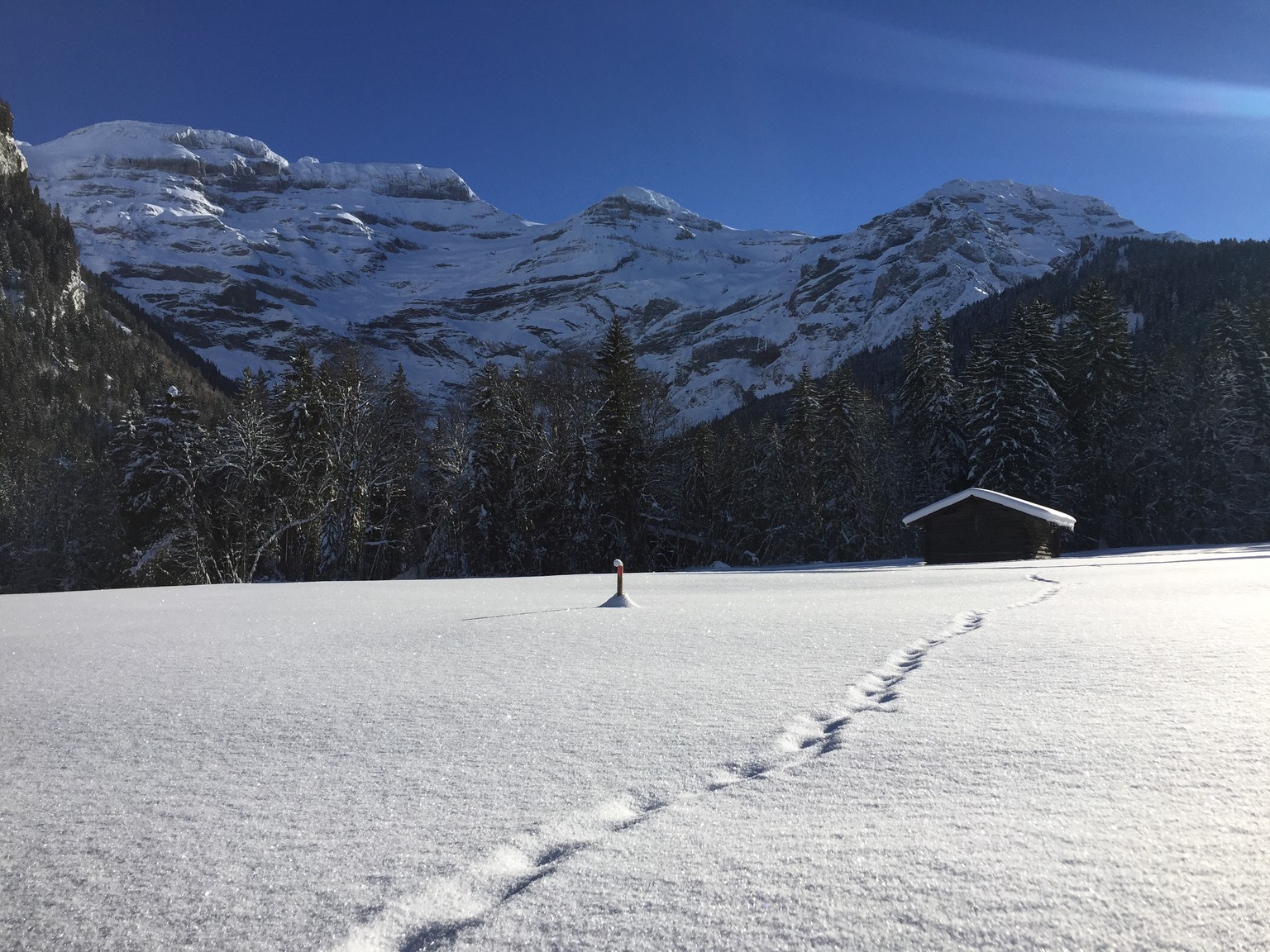 Les Diablerets - Le Droutzay - Les Diablerets