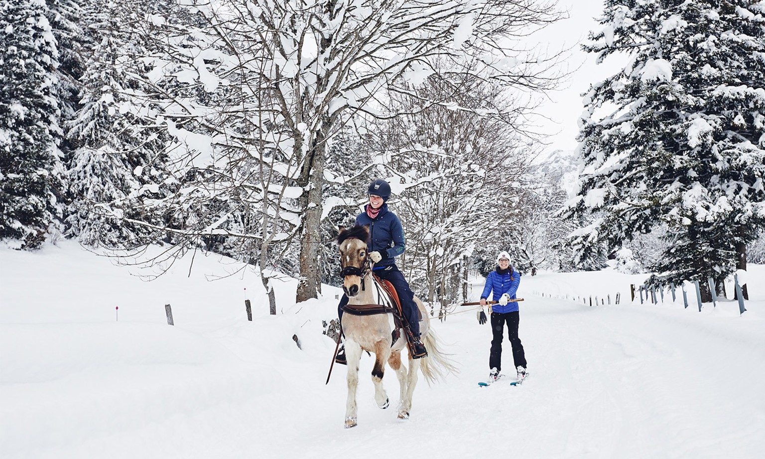 Ski jöring à Gryon