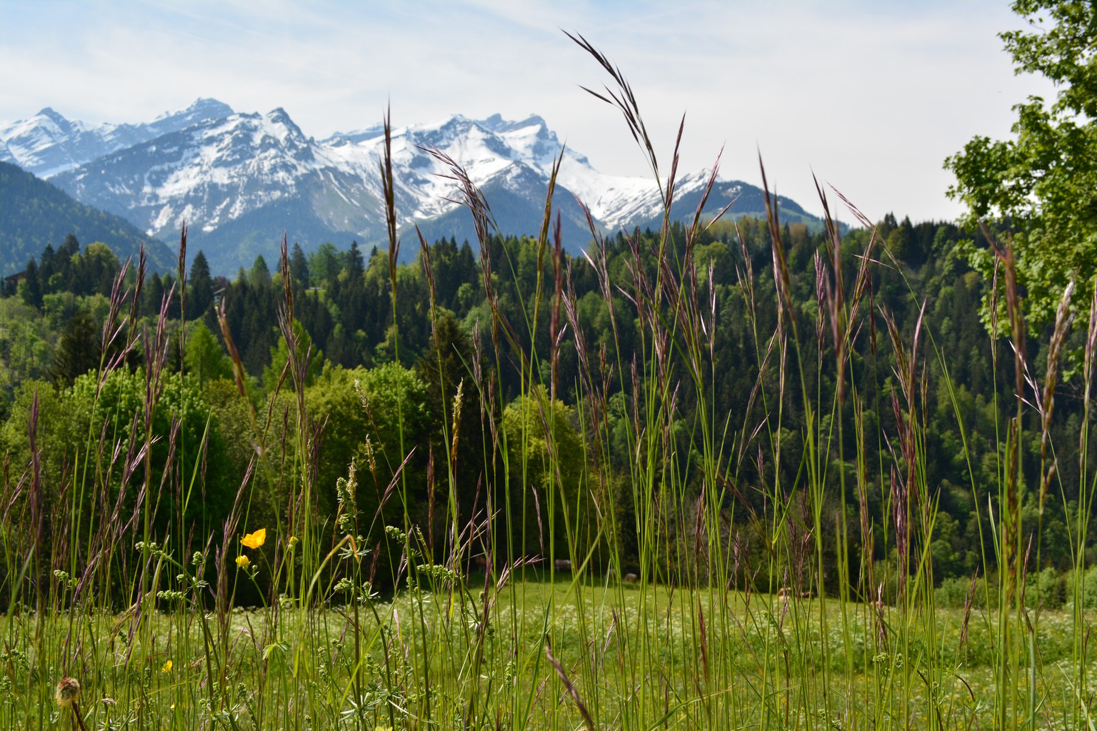 Villars-Arveyes