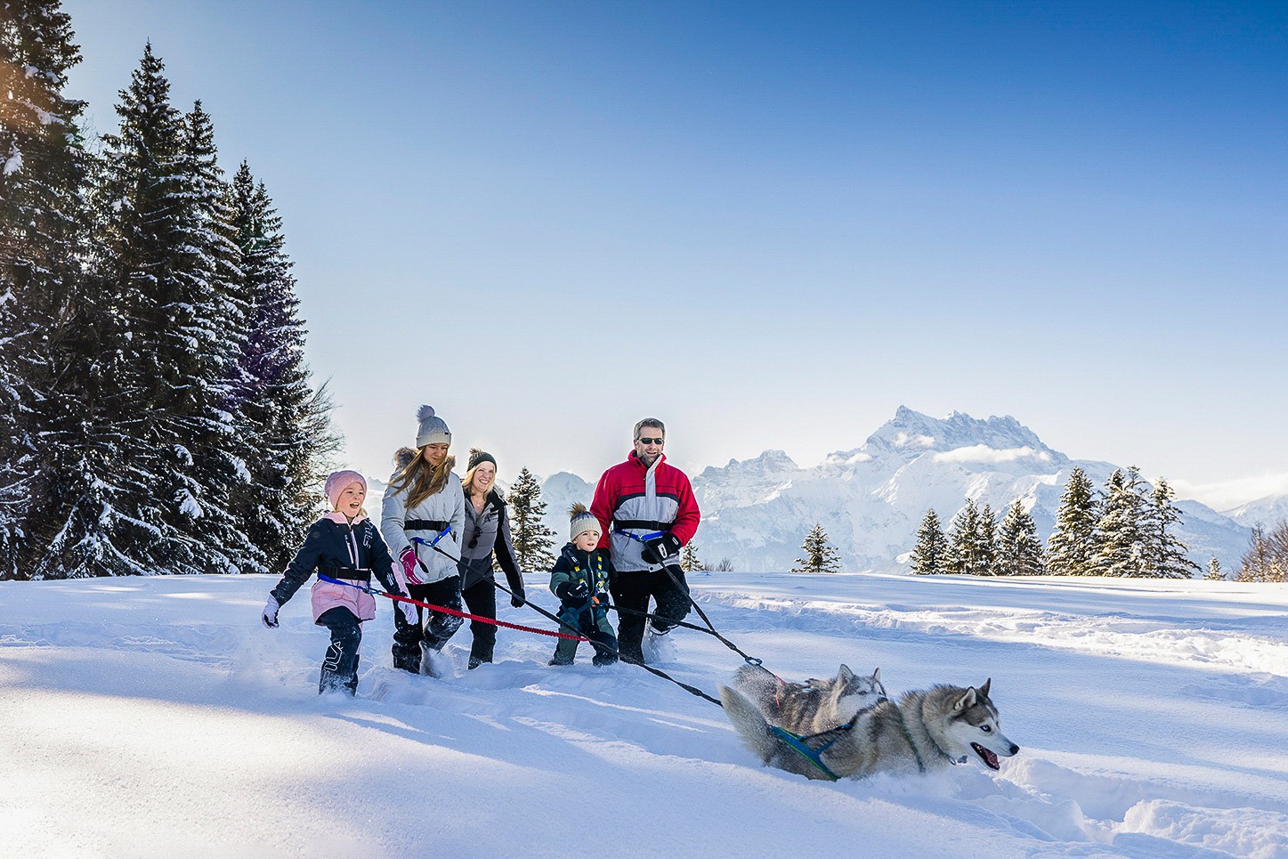 Balade avec les chiens polaires à Villars