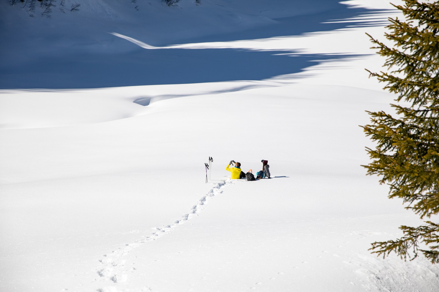 Randonnée hivernale