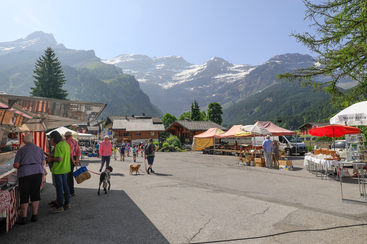 Friday Market to Les Diablerets