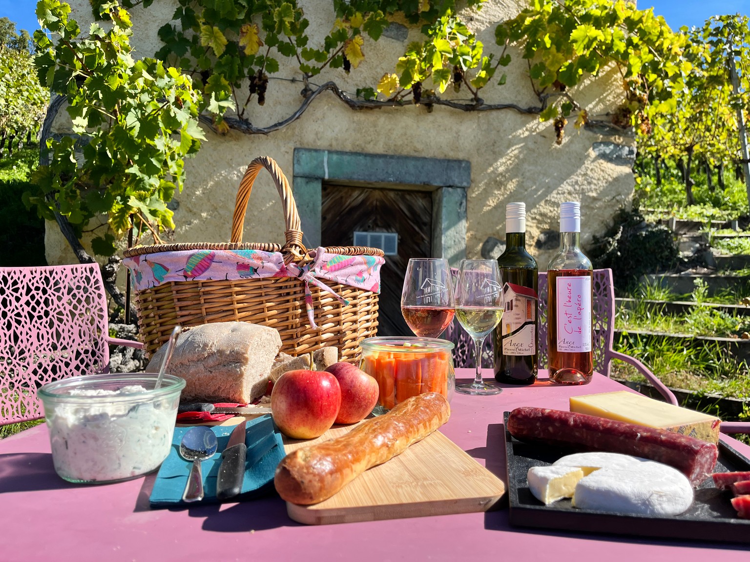Winemaker's basket & Wine tasting in Ollon