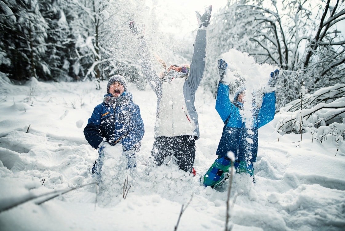 Snowy Afternoon in Villars– Guided Walk and Discovery