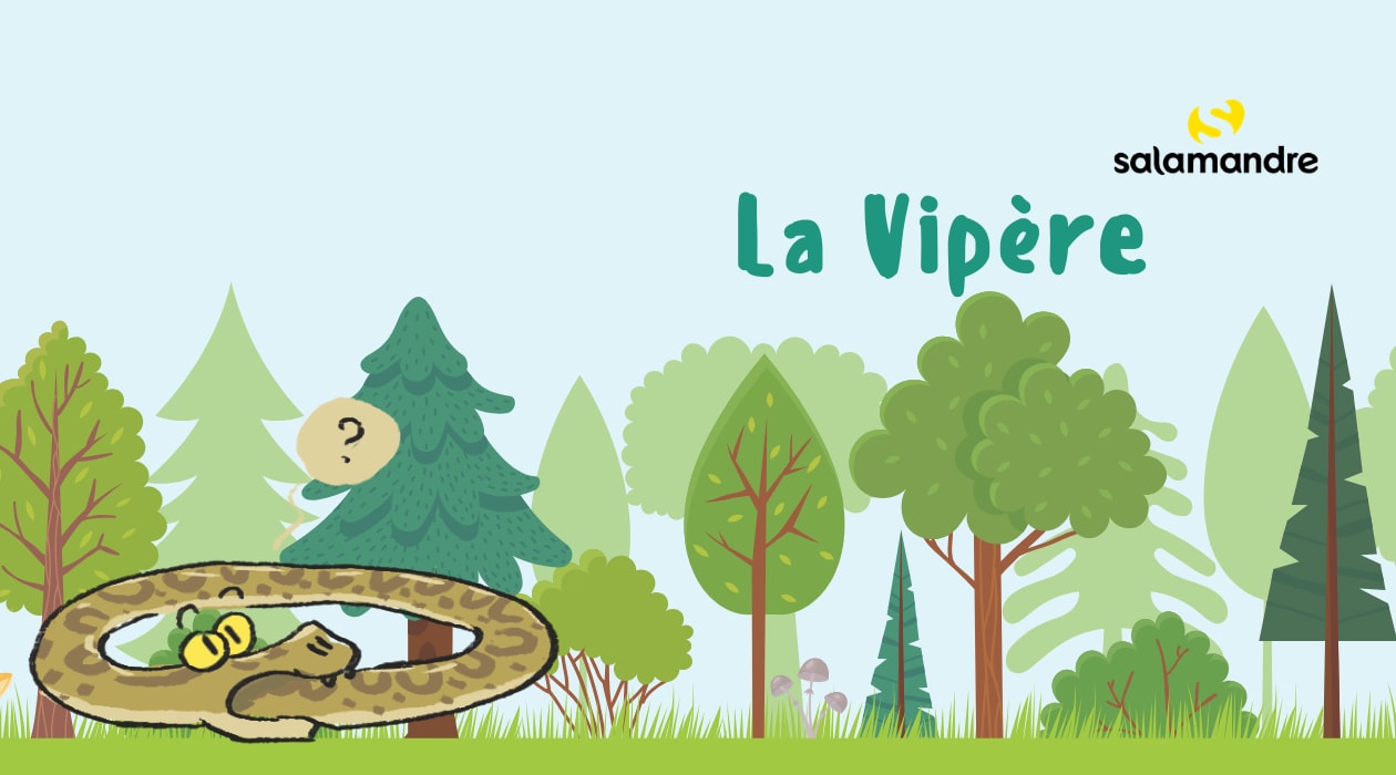 Summer Treasure Hunt – Meet the Viper