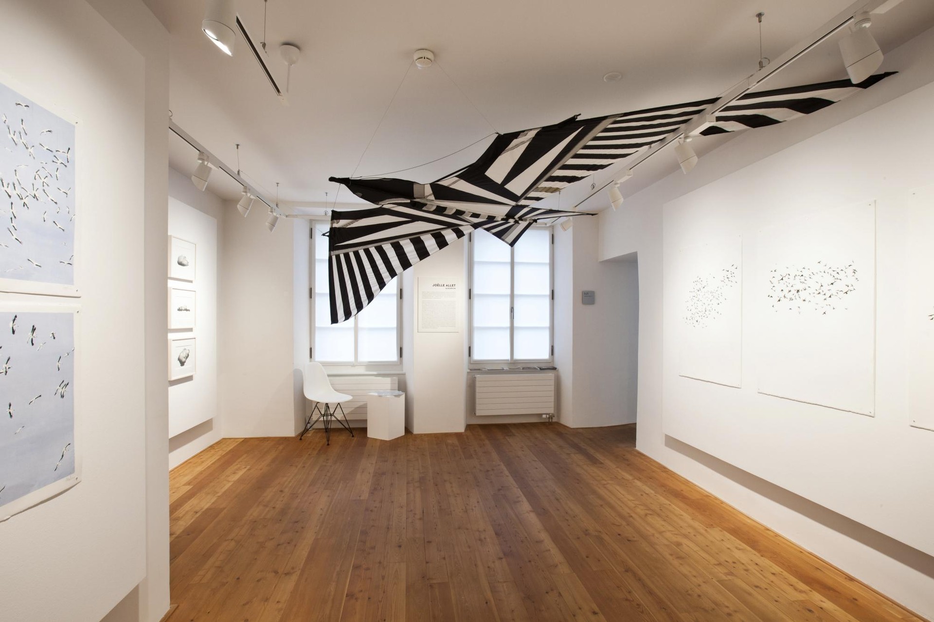 Espace Graffenried - Lionel Henriod