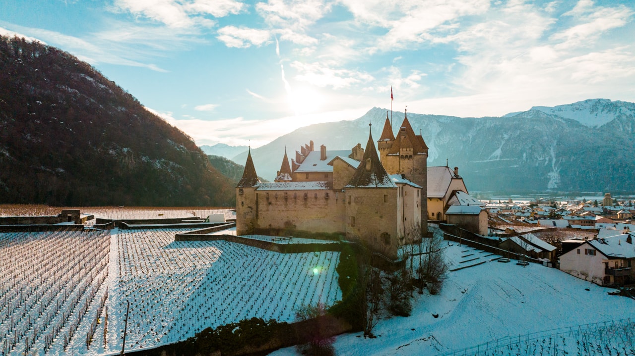 Château d'Aigle with vines - winter - Aigle