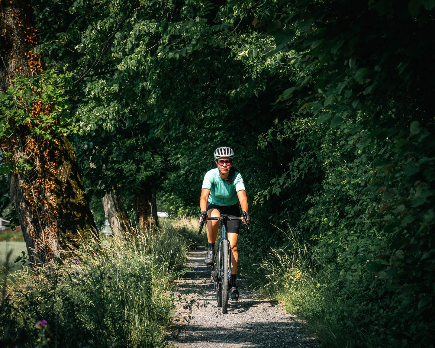 Gravel - En fôret à Aigle - été